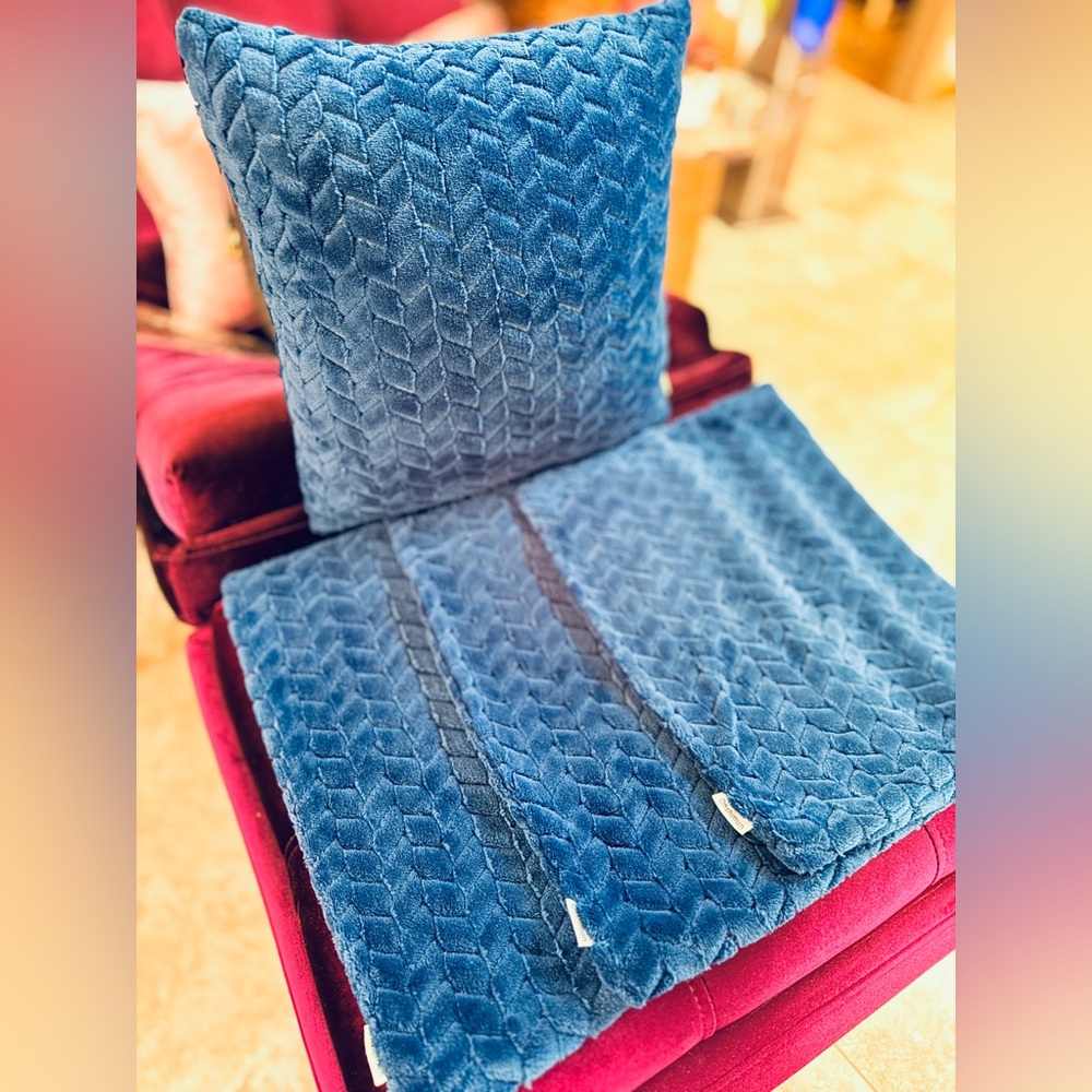 New Extremely Soft Blue Pillow Covers (4)